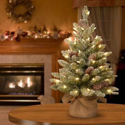 National Tree Company 2 ft. Snowy Concolor Fir Tree with Battery ...