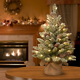 National Tree Company 2 ft. Snowy Concolor Fir Tree with Battery Operated LED Lights, , rollover