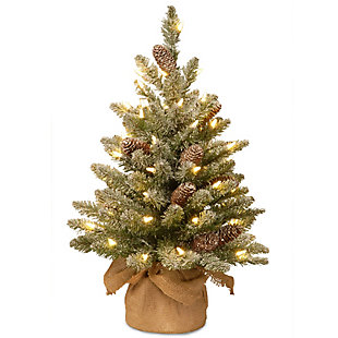 National Tree Company 2 ft. Snowy Concolor Fir Tree with Battery Operated LED Lights, , large