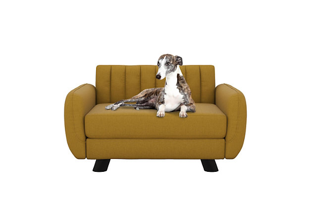 The Novogratz Brittany Pet Sofa is a pet lover's dream come true! Modern and stylish, this pet bed is the smaller-sized version of your favorite futon. It is constructed with foam that comforts your dog by relieving body aches, joint pain, hip dysplasia, and arthritis, and giving optimal therapeutic support. It also works great as a cat bed with its classy and luxurious fit. The frame is made with a sturdy wood frame and sits on solid rubber wood legs to make sure your pet enjoys the same level of comfort and security as you do. Designed with a ribbed tufted cushioned back and slanted dark brown wooden legs, the Brittany is about to become your cat and/or dog's go-to nap destination. Pet-proof, the upholstery is stain resistant and water resistant – so you don't need to worry about scrubbing for hours when you come back home from work to find your pet made a little mess. You can just throw the removable cushion cover into the washing machine for easy cleaning. Made by pet lovers, The Novogratz Brittany Pet Sofa has all the essentials for your fur-kid – because they are also members of the family! Available in multiple colors and sizes.Modern and stylish pet-sized version of your favorite sofa. Great sleeping area for dogs and cats alike. Features a ribbed tufted cushioned back with slanted dark brown wooden legs. | Designed with sturdy wood frame construction with a foam that comforts your dog by relieving body aches, joint pain, hip dysplasia, and arthritis, and giving optimal therapeutic support. It also works great as well as a stylish cat bed. | Perfect pet furniture for your small and medium sized dog and cat. Weight limit: 60 lbs. Cushion size is 18" by 24". | Ships in one box and assembles in minutes. Fabric is stain resistant and water resistant. Cushion cover fabric is removable and machine washable. Available in multiple sizes and colors. 1 year limited warranty.