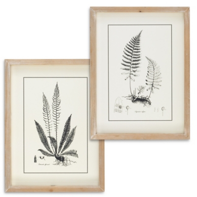 The Gerson Company Set Of Two 15.75in H Black And White Fern Art In Wooden Frames, , rollover
