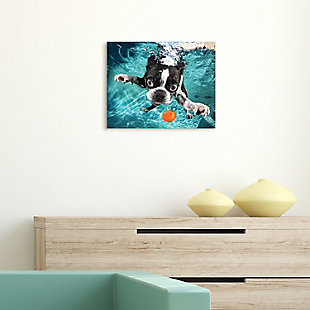 Empire Art Direct Boston Terrier Frameless Free Floating Tempered Glass Panel Graphic Wall Art, , rollover