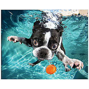 Empire Art Direct Boston Terrier Frameless Free Floating Tempered Glass Panel Graphic Wall Art, , large