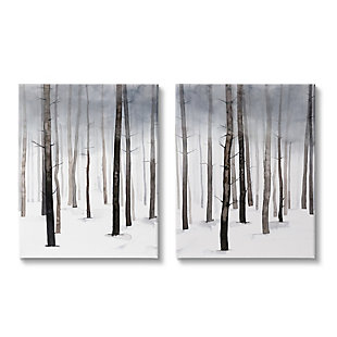 Stupell Winter Snow Tree Forest Haze Eerie Cold 16 X 20 Canvas Wall Art (set Of 2), Gray, large