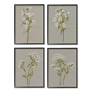 Stupell Vintage White Wild Flower Study Soft Petals 16 X 20 Framed Wall Art (set Of 4), Brown, large