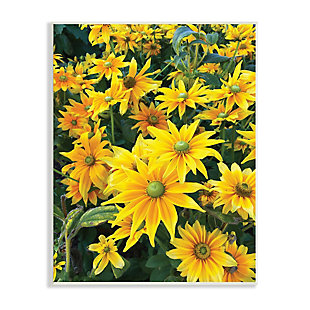 Stupell Sunflower Field Blooming Green Bulbs Yellow Petals 13 X 19 Wood Wall Art, Yellow, large