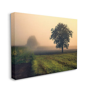 Stupell Misty Morning Sunrise Countryside Tree Field 36 X 48 Canvas Wall Art, Green, large