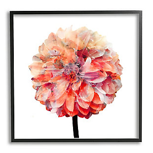 Stupell Bright Coral Watercolor Bloom Dahlia Flower 24 X 24 Framed Wall Art, Pink, large
