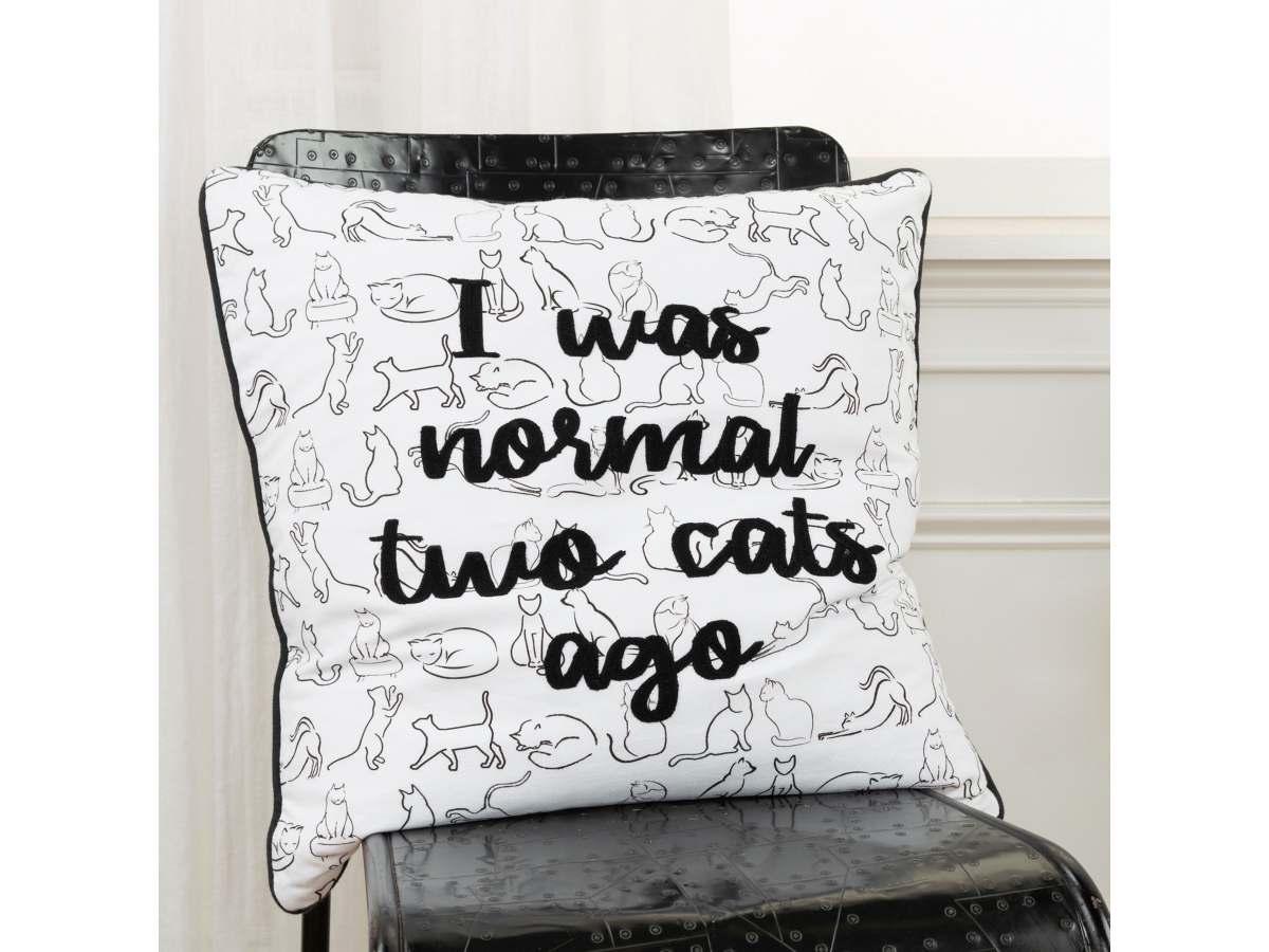 Rizzy Home Sassy Sentiment Throw Pillow Ashley