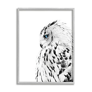 Stupell Industries Snow Owl White Feathers Peering Blue Eyes, 11 x 14, Framed Wall Art, White, large