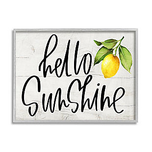 Stupell Industries Hello Sunshine Expression Soft Country Lemon Branch , 11 x 14, Framed Wall Art, Gray, large
