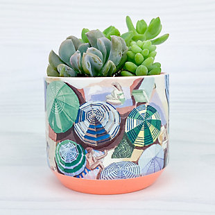 Greenbox Sunday Sun by Nicki Peeples Plant Pot, , rollover