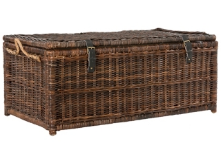 happimess Caden 46" Storage Trunk