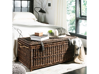 happimess Caden 46" Storage Trunk