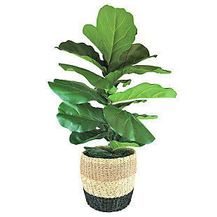 LCG Florals 48 Inch Artificial Deluxe Fig Bush in Tri-Color Basket, , large