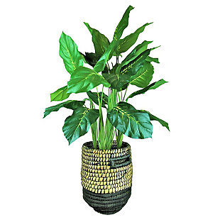 LCG Florals 40 Inch Artificial Dieffenbachia in Black and Tan Basket, , large
