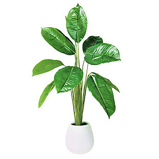 LCG Florals 36 Inch Rubber Plant in Bulb Ceramic Pot, , large