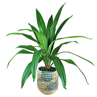 LCG Florals 36 Inch Artificial Dracaena in Blue and Cream Basket, , large
