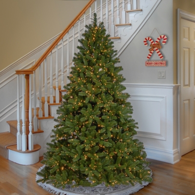 National Tree Company Feel-Real Downswept Douglas Fir Tree with Clear Lights, 7.5