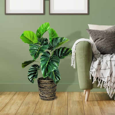 A600078392 LCG Florals 30 Taro Plant in Deco Basket, Green sku A600078392