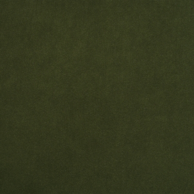 Swatch color Olive Green , product with this swatch is currently selected
