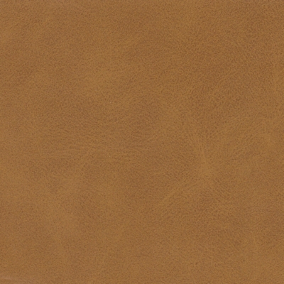 Swatch color Brown 