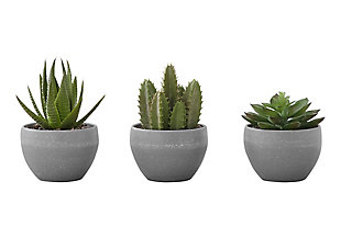Monarch Specialties Potted Succulent (Set of 3), , large
