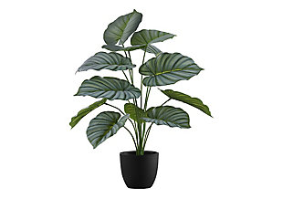 Monarch Specialties Potted Calathea, , large