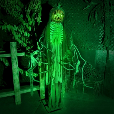 Haunted Hill Farms Pumpkin Man 69, Multi