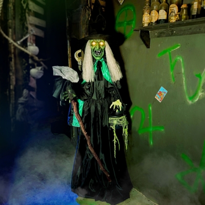 A600082512 Haunted Hill Farms Witch Prop 72, Multi sku A600082512