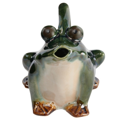 Storied Home Frog Watering Pitcher