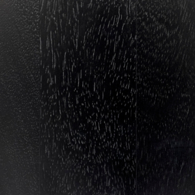 Swatch color Black 