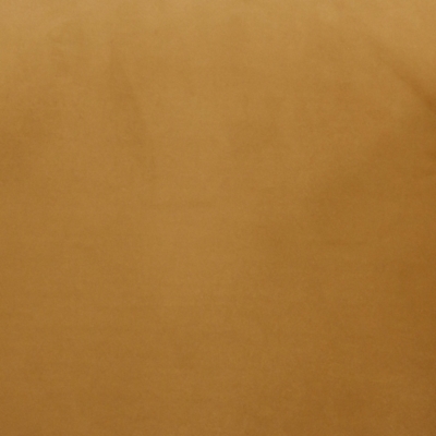Swatch color Tan 