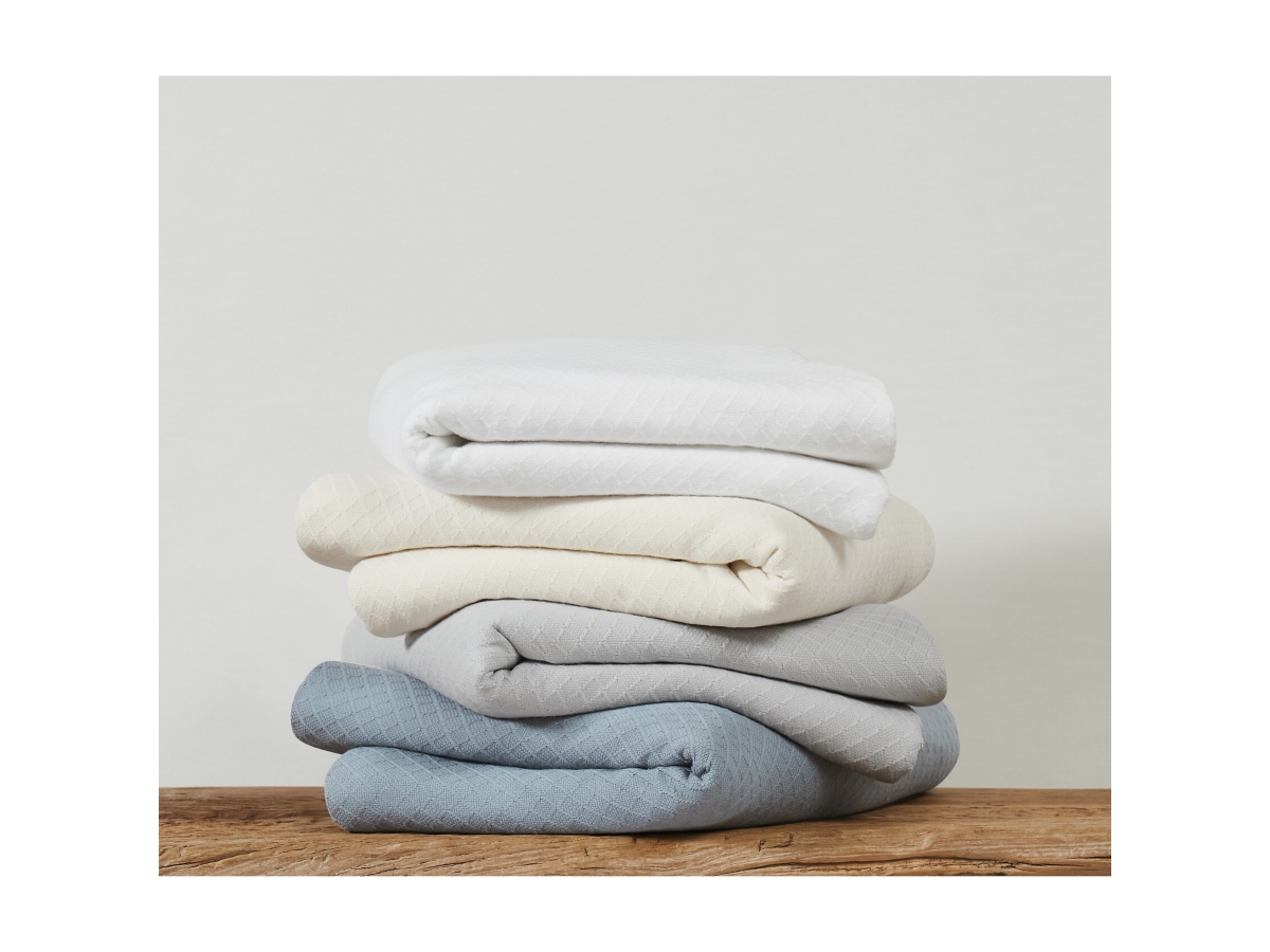 Royal Velvet Dream Blanket Ashley