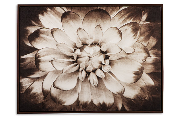 Nature’s beauty is incomparable. The Phiala wall art captures the essence of a blooming flower in striking brown sepia tones. Grand four-foot wide scale centers your room with a quality focal point.Framed gallery wrapped canvas | D-ring bracket hanger | Clean with soft, dry cloth