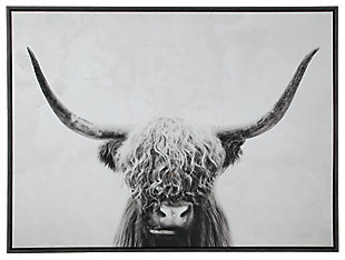 Bring home a piece of Scottish livestock with Pancho wall art. Highland cow looks straight ahead with shaggy hair and  prominent horns, creating a beautiful white negative space. Sleek black frame creates a boundary and makes a statement in your home.Framed gallery wrapped canvas | Sawtooth hanger | Clean with soft, dry cloth