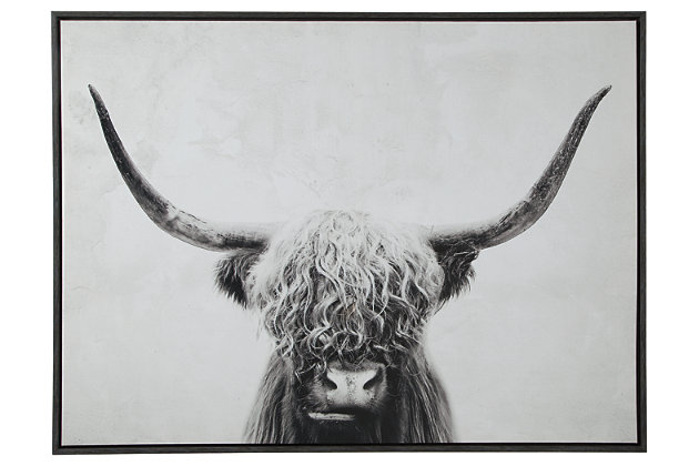 Bring home a piece of Scottish livestock with Pancho wall art. Highland cow looks straight ahead with shaggy hair and  prominent horns, creating a beautiful white negative space. Sleek black frame creates a boundary and makes a statement in your home.Framed gallery wrapped canvas | Sawtooth hanger | Clean with soft, dry cloth