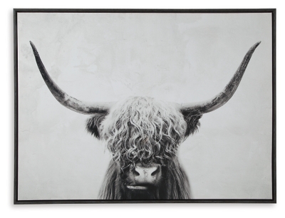 Stupell Industries Highland Cattle Shaggy Hair Country Animal Portrait  Photography Black Framed Giclee, 24 X 30 : Target