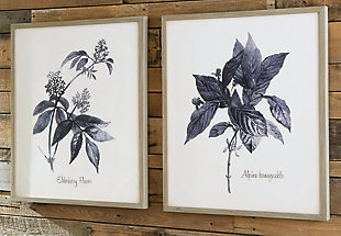 Classic botanical drawings in shades of blue and tan elevate the decor in any space. Easy to hang, the Efren set of two gallery-wrapped canvases add an air of quiet beauty to your walls. Perfect for living rooms, bedrooms or office space, this art creates a lovely atmosphere wherever you hang it.Gallery wrapped canvas | Set of 2 | Botanical design in shades of blue and tan | D-ring hanger | Framed and ready to hang