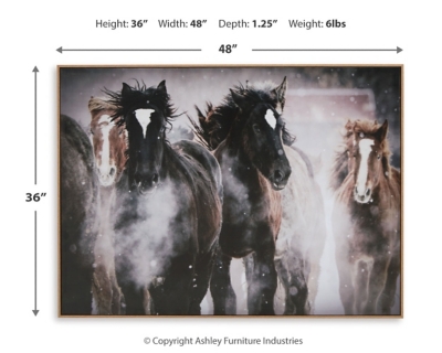 Chaseburn Wall Art Dimensions