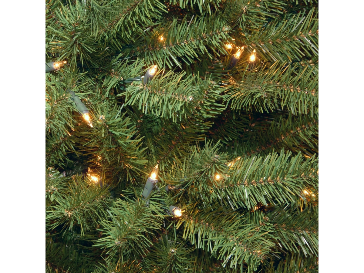 6.5 Feet North Valley Spruce Christmas Tree