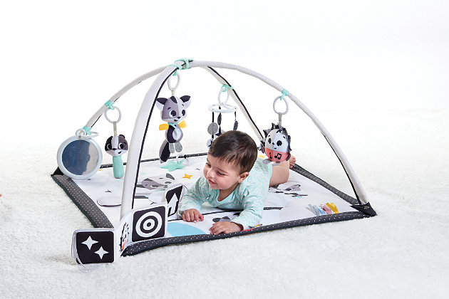 The Magical Tales™ Black & White Gymini is a stylish activity gym, designed especially to support newborn development. With 18 developmental activities and interactive toys, it encourages baby’s skills as they naturally play. Its contrasting black and white details provide visual stimulation for newborns from day one. The adjustable arches can be easily arranged in a variety of ways, or removed, to enhance your baby’s developmental environment for the ultimate tummy time experience.

Let your little one explore the shapes on the soft black and white book or marvel at their own reflection in the mirror while practicing tummy time. The spacious and cozy play area let’s babies stretch and experiment with movement and roll over. The playmat's variety of textures, sounds and features provide ongoing auditory and tactile stimulation.

Through interactive play with the musical hedgehog, playful plush cloud, wind chime badger and crinkly peek-a-boo tree, your baby can develop cognitive skills such as “cause ‘n effect” and object permanence.

With the help of our experts, we put together a comprehensive Developmental Guide, which is included with your Black & White Gymini. Based on our unique 7 Development Wonders system, this 36-page guide helps you to get the most out of your loved one’s new activity gym. Discover fascinating facts about your baby’s development, including how to stimulate his or her innate desire to explore, and use our best play tips—suitable from day one!Adjustable arches create a multi-mode activity mat Features 18 developmental activities and interactive toys | Playmat is ideal for tummy time Baby-activated musical toy with 3 melodies | Mirror encourages self-recognition | Soft take-along book