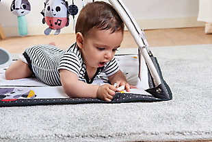 The Magical Tales™ Black & White Gymini is a stylish activity gym, designed especially to support newborn development. With 18 developmental activities and interactive toys, it encourages baby’s skills as they naturally play. Its contrasting black and white details provide visual stimulation for newborns from day one. The adjustable arches can be easily arranged in a variety of ways, or removed, to enhance your baby’s developmental environment for the ultimate tummy time experience.

Let your little one explore the shapes on the soft black and white book or marvel at their own reflection in the mirror while practicing tummy time. The spacious and cozy play area let’s babies stretch and experiment with movement and roll over. The playmat's variety of textures, sounds and features provide ongoing auditory and tactile stimulation.

Through interactive play with the musical hedgehog, playful plush cloud, wind chime badger and crinkly peek-a-boo tree, your baby can develop cognitive skills such as “cause ‘n effect” and object permanence.

With the help of our experts, we put together a comprehensive Developmental Guide, which is included with your Black & White Gymini. Based on our unique 7 Development Wonders system, this 36-page guide helps you to get the most out of your loved one’s new activity gym. Discover fascinating facts about your baby’s development, including how to stimulate his or her innate desire to explore, and use our best play tips—suitable from day one!Adjustable arches create a multi-mode activity mat Features 18 developmental activities and interactive toys | Playmat is ideal for tummy time Baby-activated musical toy with 3 melodies | Mirror encourages self-recognition | Soft take-along book