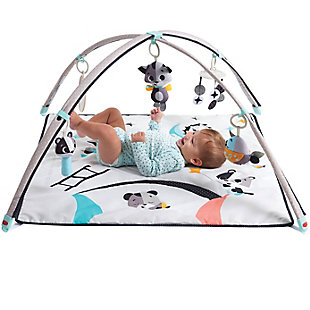 The Deluxe 6-in-1 Here I Grow Activity Play Yard offers parents all of the needed modes for baby while also providing a safe and secure space during both sleep and waking hours. There are 6 modes of use, 3 ways to play, and 3 ways to care for your baby. Baby is cared for, entertained and secure, in a unique product designed with your child’s development in mind. With black and white contrasting patterns and bold graphics, the included play mat supports development from day one.  It also includes a developmental guide so parents can understand how the toys and activity modes contribute to baby's development.  The changing table and diaper organizer make it easy to care for baby, and the bassinet is perfect for newborn naps.6 modes of use: 3 ways to care & 3 ways to play | 3 Ways to Care: Spacious Changer, Comfy Bassinet, Roomy Play Yard | 3 Ways to Play: Play Bassinet, Play Mat, Play Yard | Extra large arches with fun, developmental toys