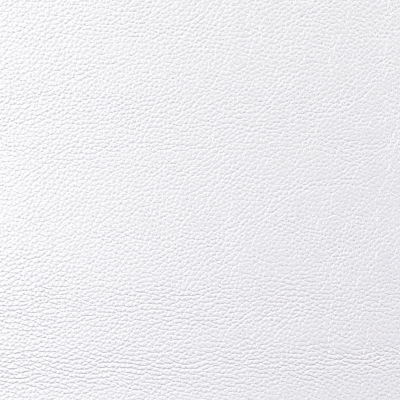 Swatch color White 