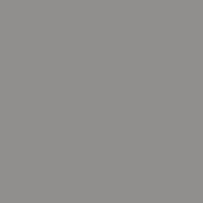 Swatch color Silver 