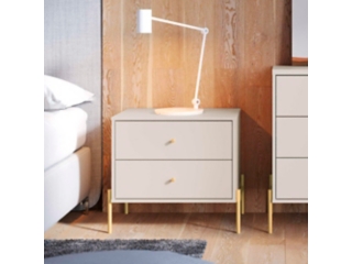 Manhattan Comfort 25" 2 Drawer Nightstand