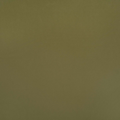 Swatch color Olive Green , product with this swatch is currently selected