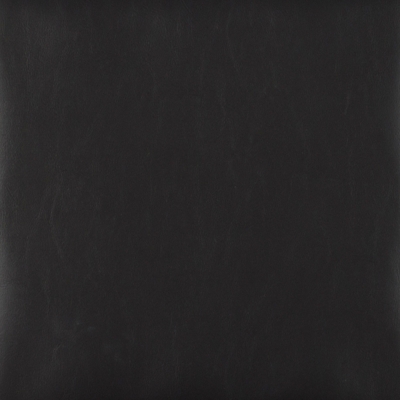 Swatch color Black 