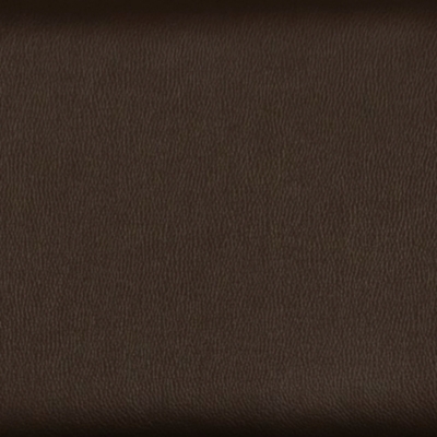 Swatch color Espresso 